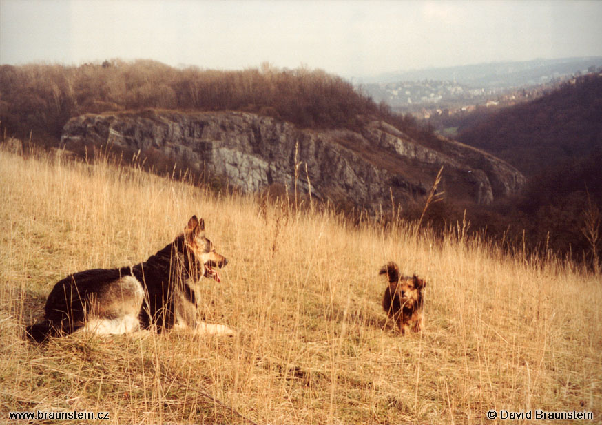 2001_12_040_pr_nad_prokopskym_udolim_pohled_na_v_dasenka_asta