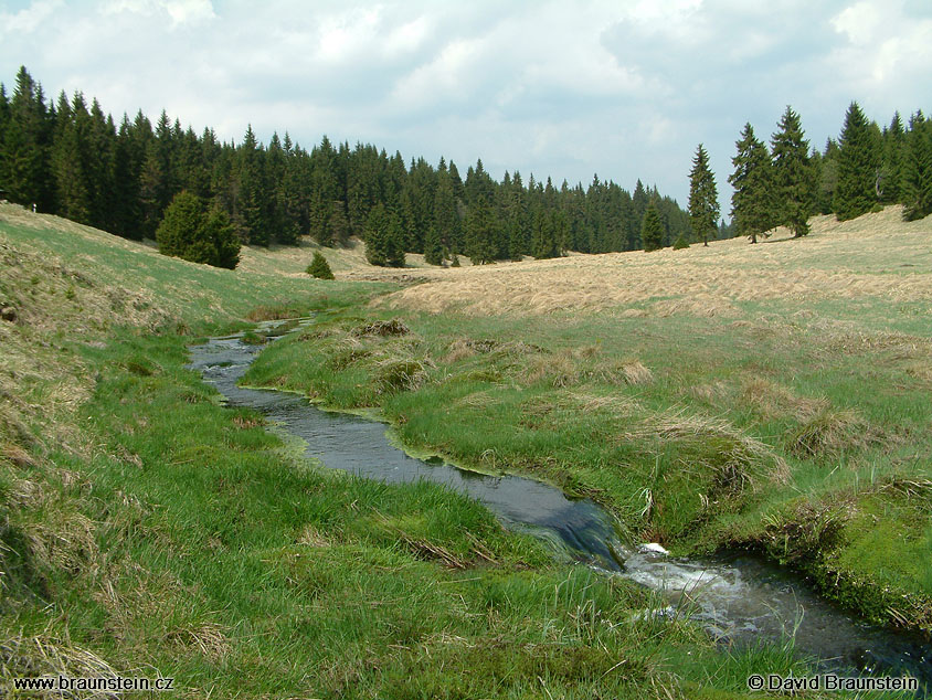 2003_0508_133114_os_rolava_nad_rolavou