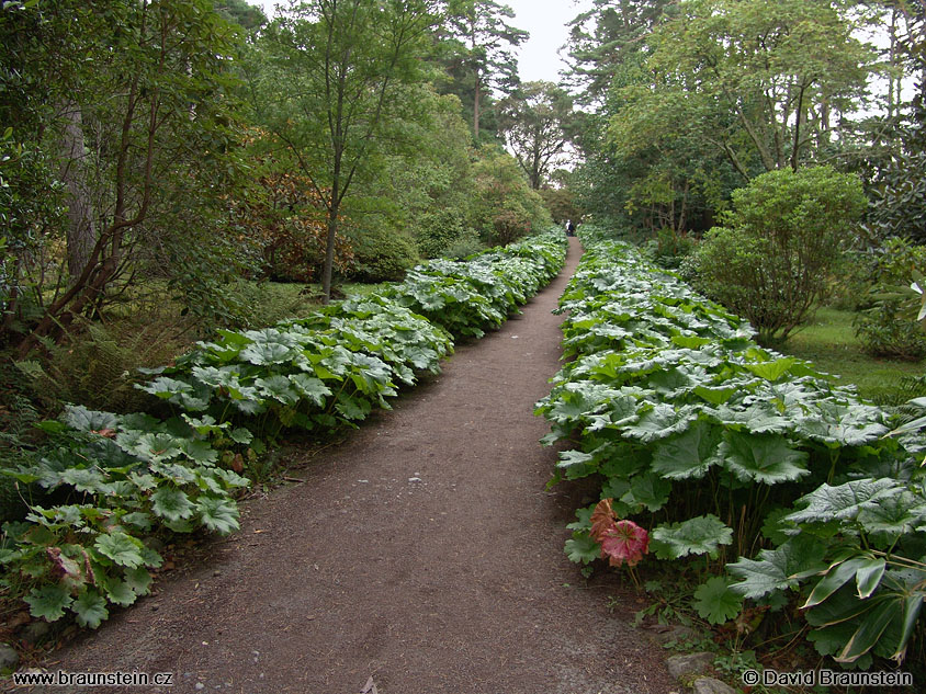 2004_0811_141454_sk_invere_gardens