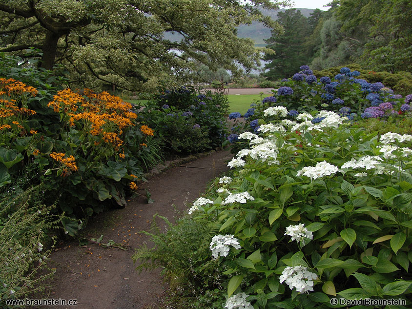 2004_0811_142209_sk_invere_gardens