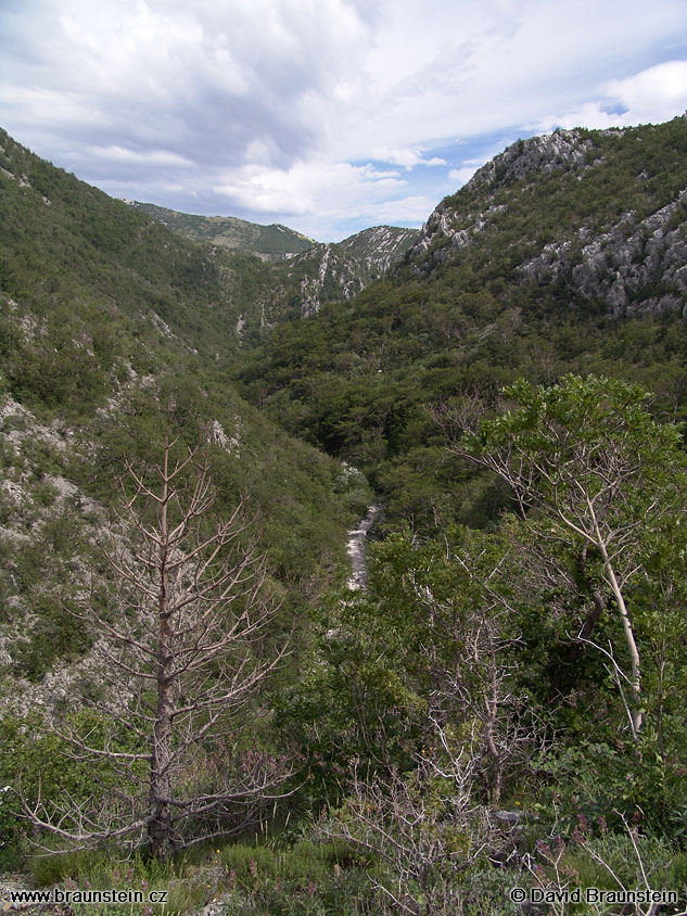 2005_0609_141851_hr_mala_paklenica_udoli