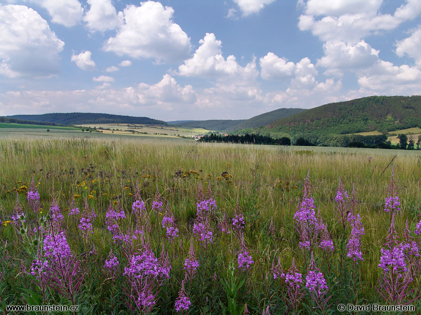 2005_0703_120134_jz_kytky_krajina