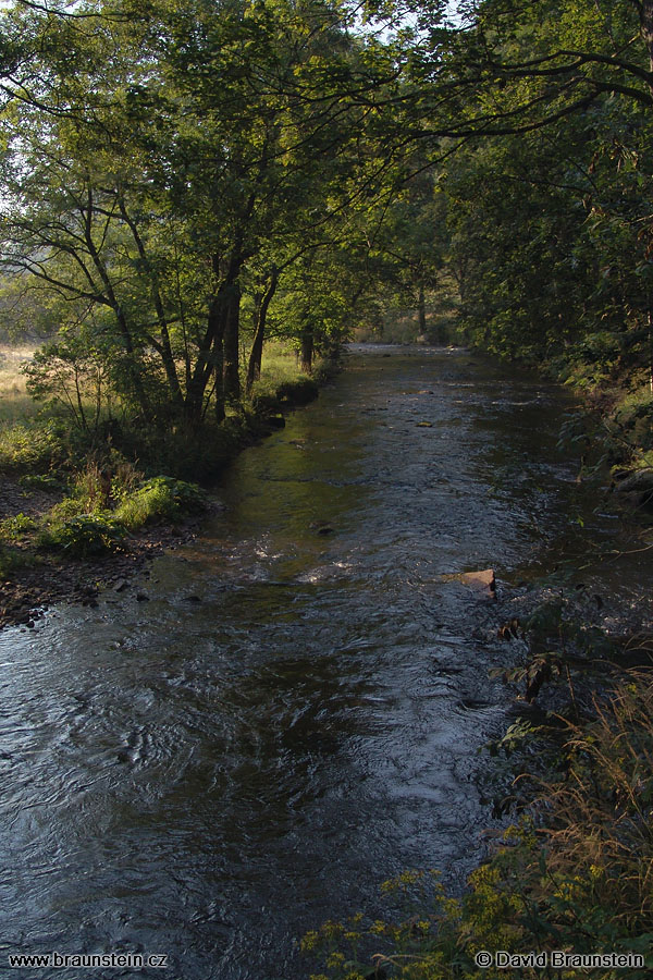 2005_0901_070817_cz_divoka_orlice_nad_zemskou_branou