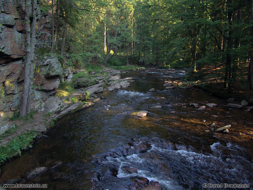 2005_0901_080410_cz_divoka_orlice_pod_zemskou_branou