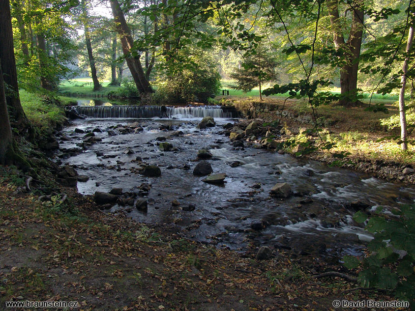 2005_0907_165654_cz_stropnice_v_tercine_udoli