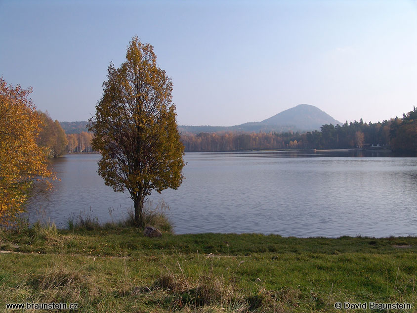 2005_1030_101945_lh_radvanecky_rybnik_strom