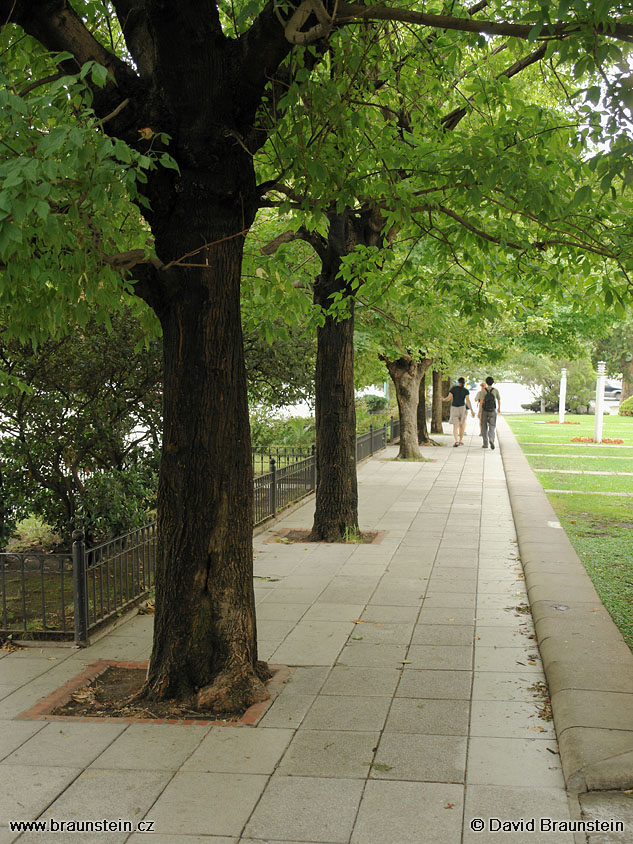 2006_0108_212257_ja_chodnik_v_buenos_aires