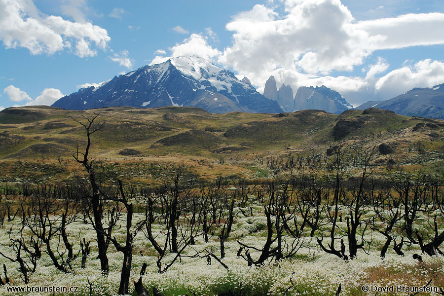 2006_0116_212404_ja_tores_del_paine