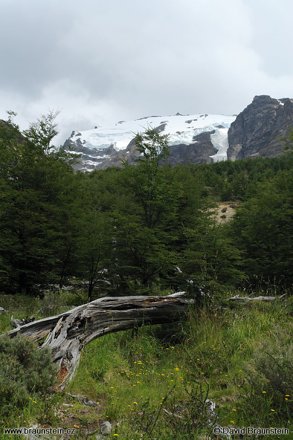 2006_0117_181736_ja_tores_del_paine