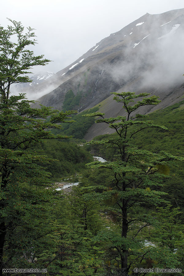 2006_0118_153624_ja_tores_del_paine