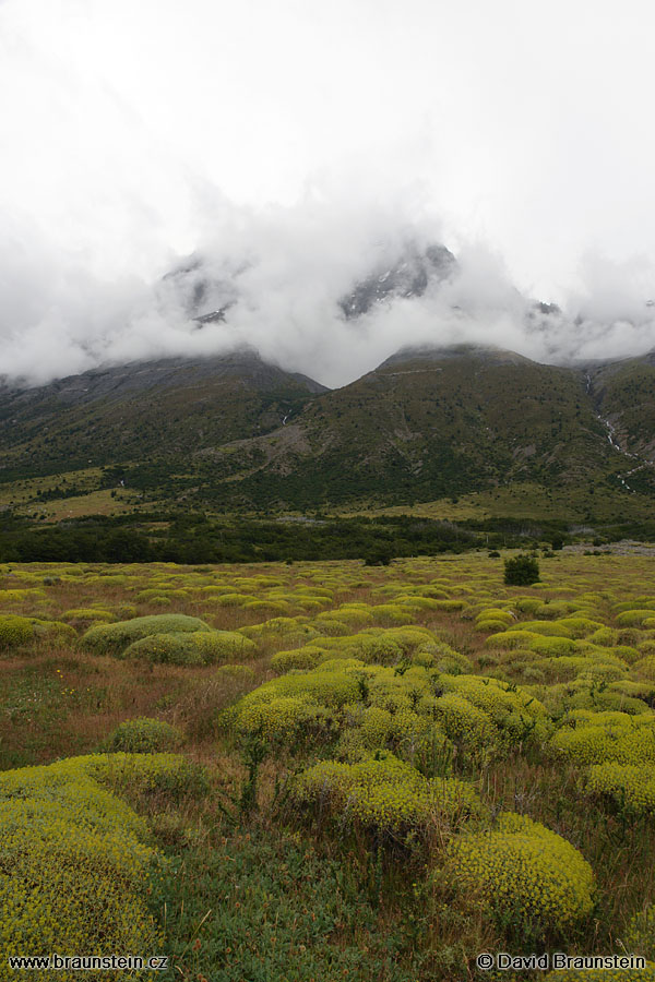 2006_0118_175907_ja_tores_del_paine