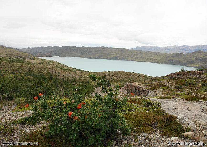 2006_0118_185156_ja_tores_del_paine