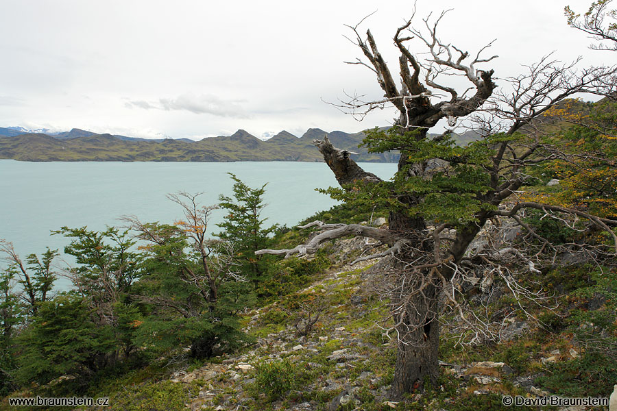 2006_0118_195207_ja_tores_del_paine