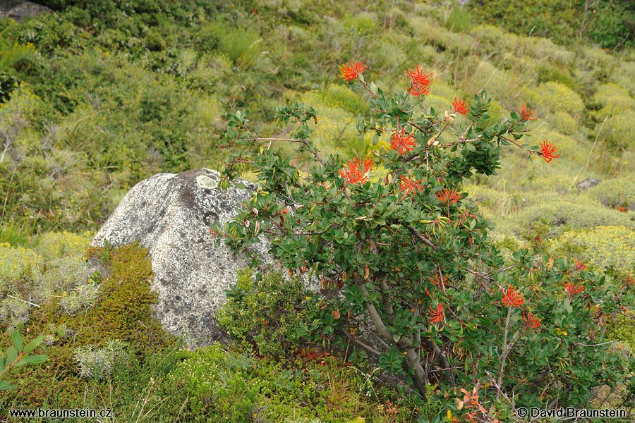 2006_0118_195440_ja_tores_del_paine