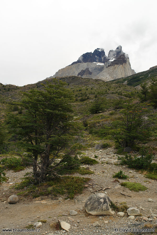 2006_0118_201929_ja_tores_del_paine