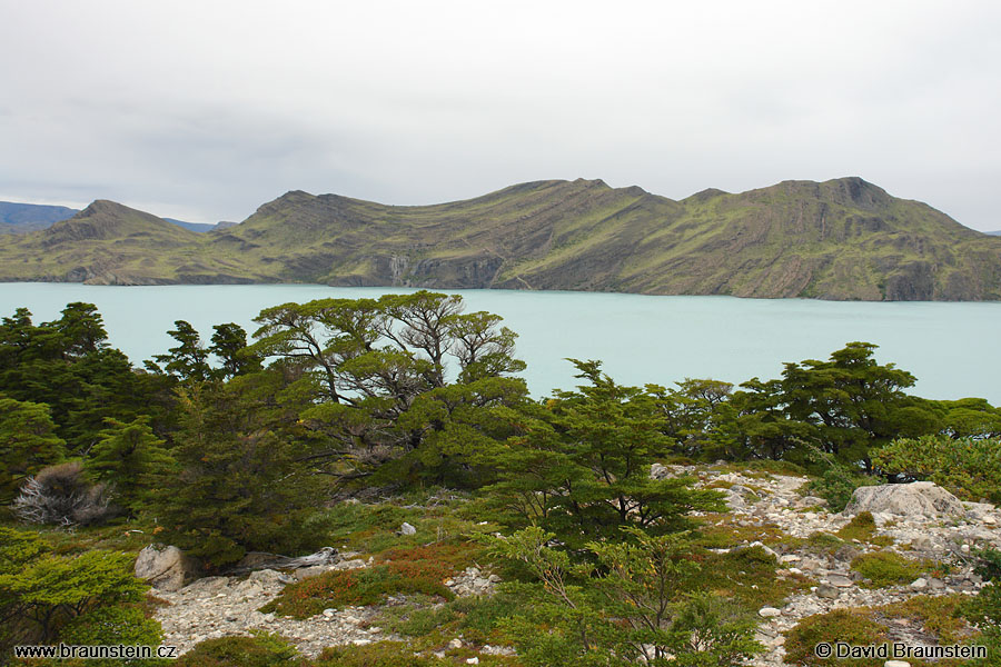 2006_0118_212429_ja_tores_del_paine