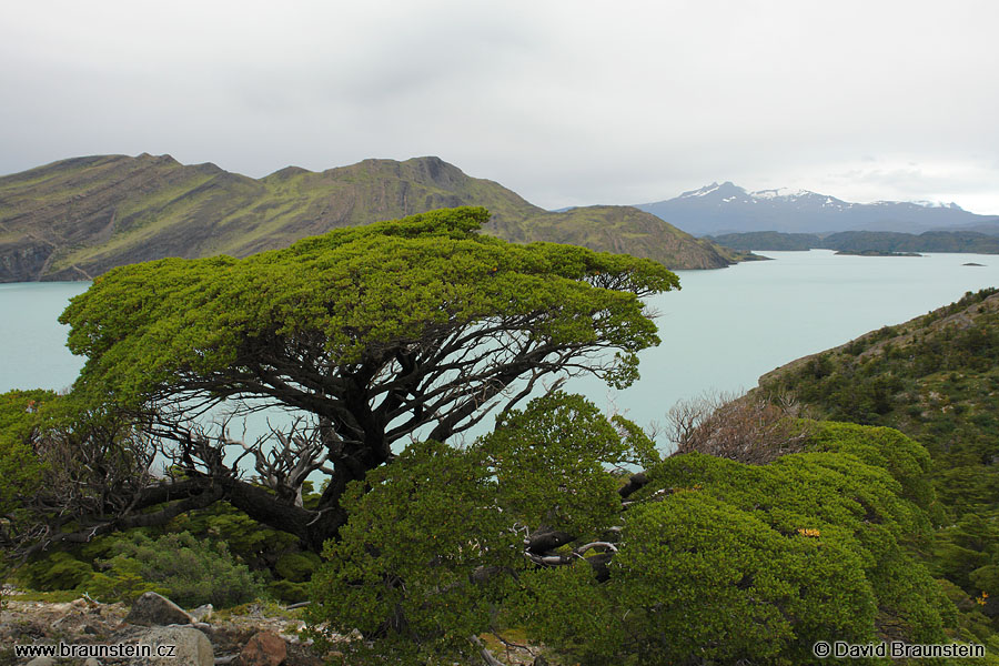 2006_0118_212624_ja_tores_del_paine