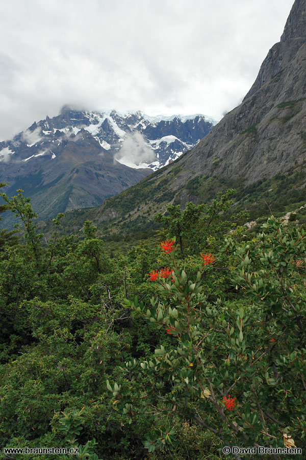 2006_0118_223041_ja_tores_del_paine