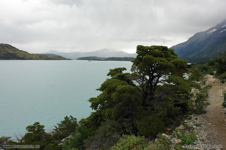 2006_0118_223829_ja_tores_del_paine