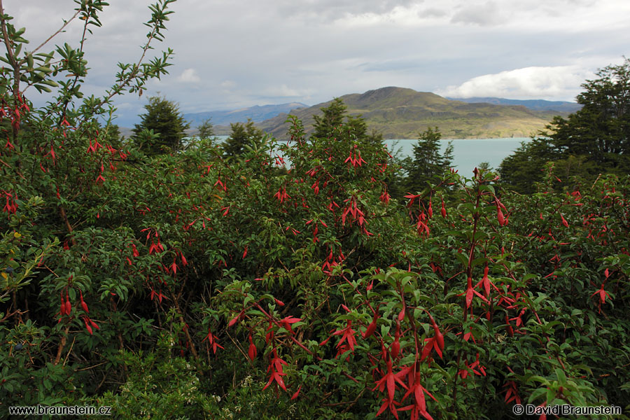 2006_0118_235806_ja_tores_del_paine