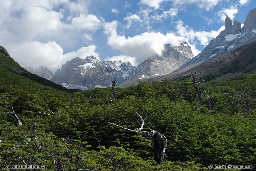 2006_0119_144940_ja_tores_del_paine