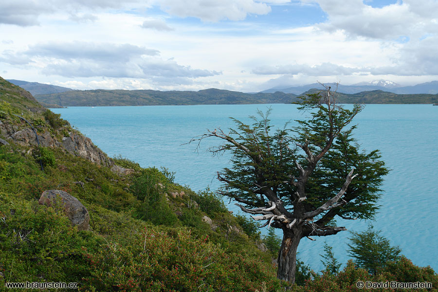 2006_0119_225148_ja_tores_del_paine