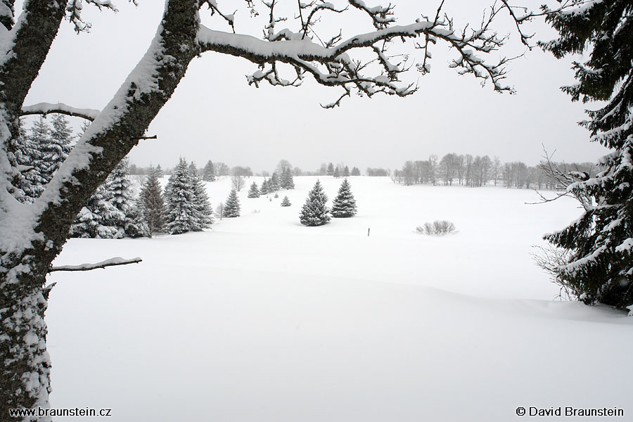 2006_0304_131239_su_krajina_u_knizecich_plani_strom