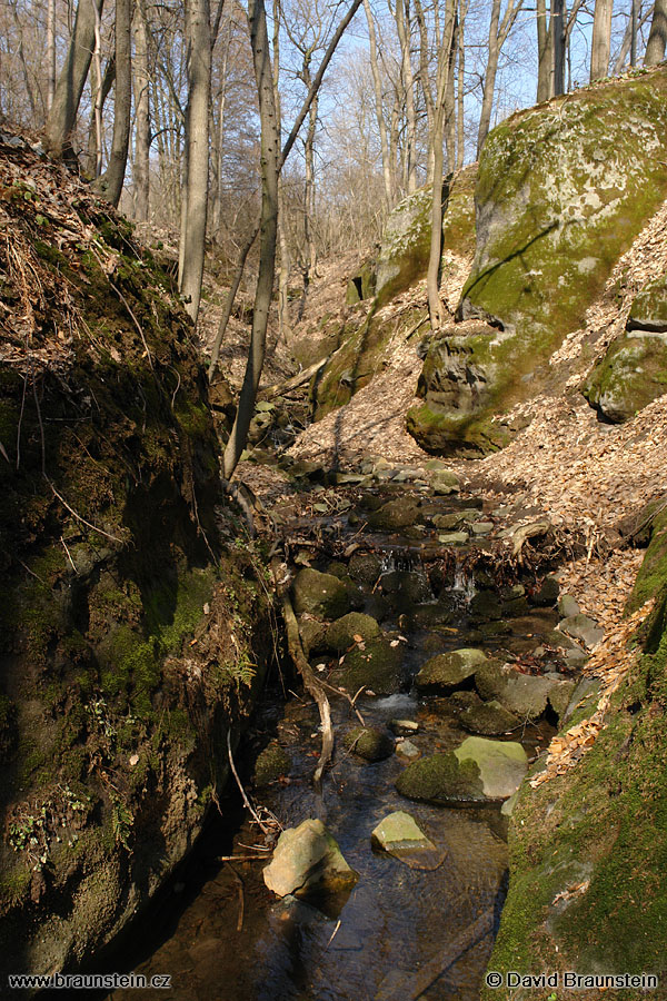 2006_0408_133422_se_potok_kolne_kanon