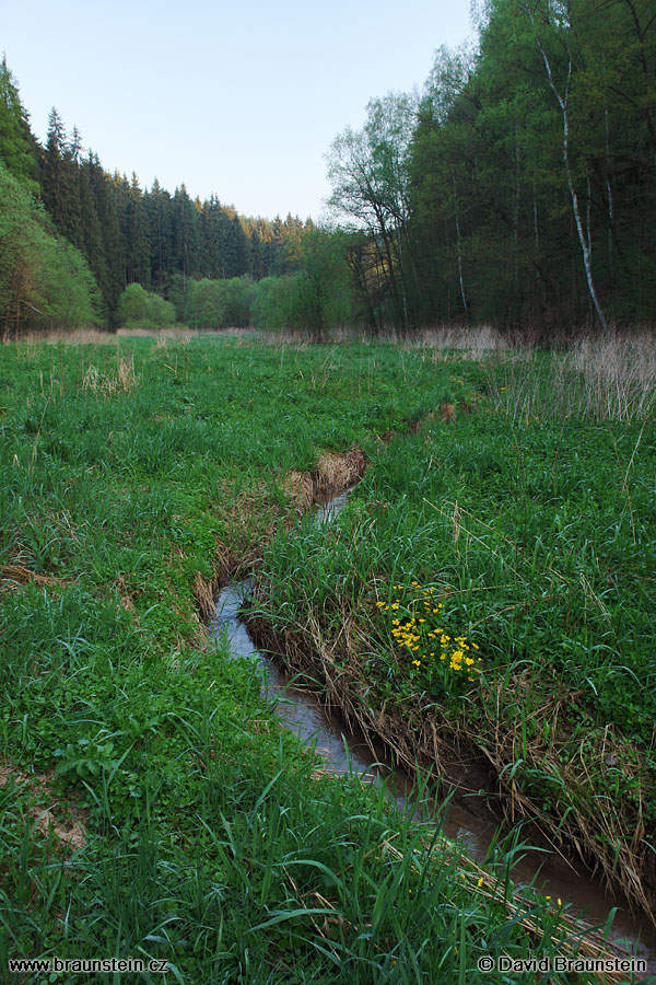 2006_0507_054554_se_skalsky_potok_udoli