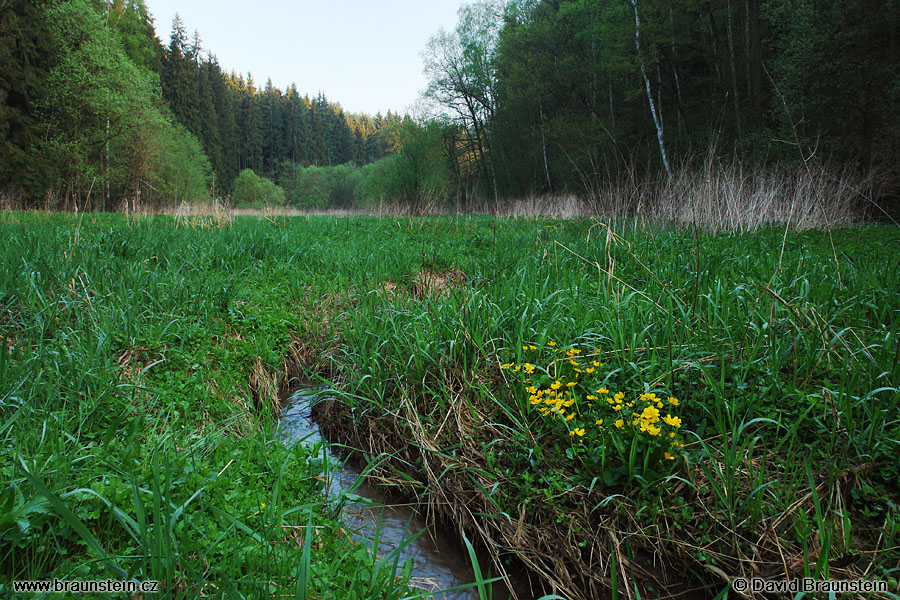 2006_0507_055630_se_blatouch_bahenni_potok_udoli