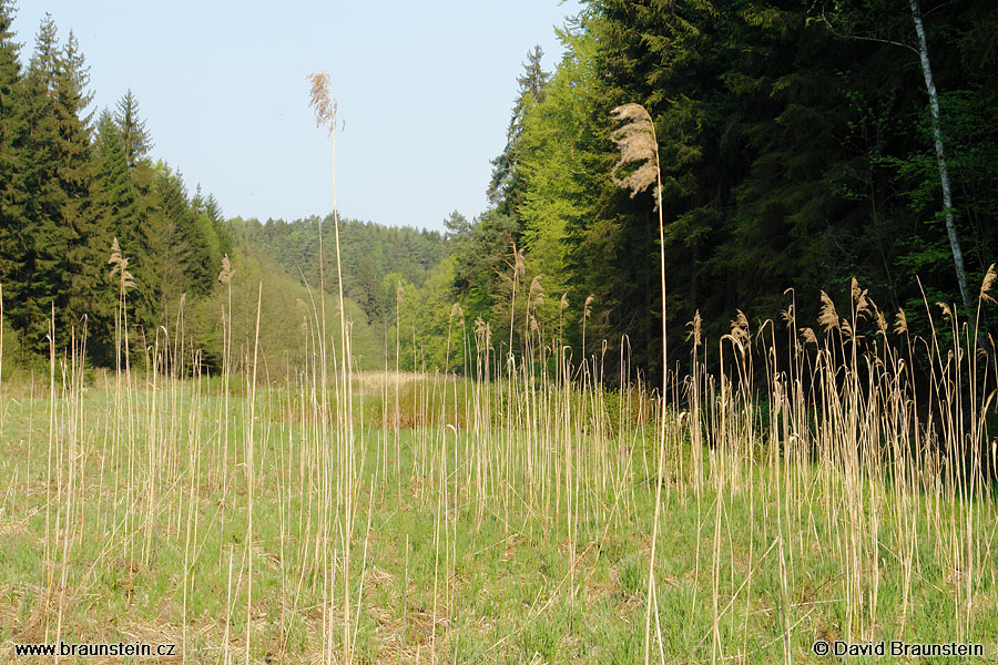 2006_0507_080232_se_udoli_skalskeho_potoka_rakos