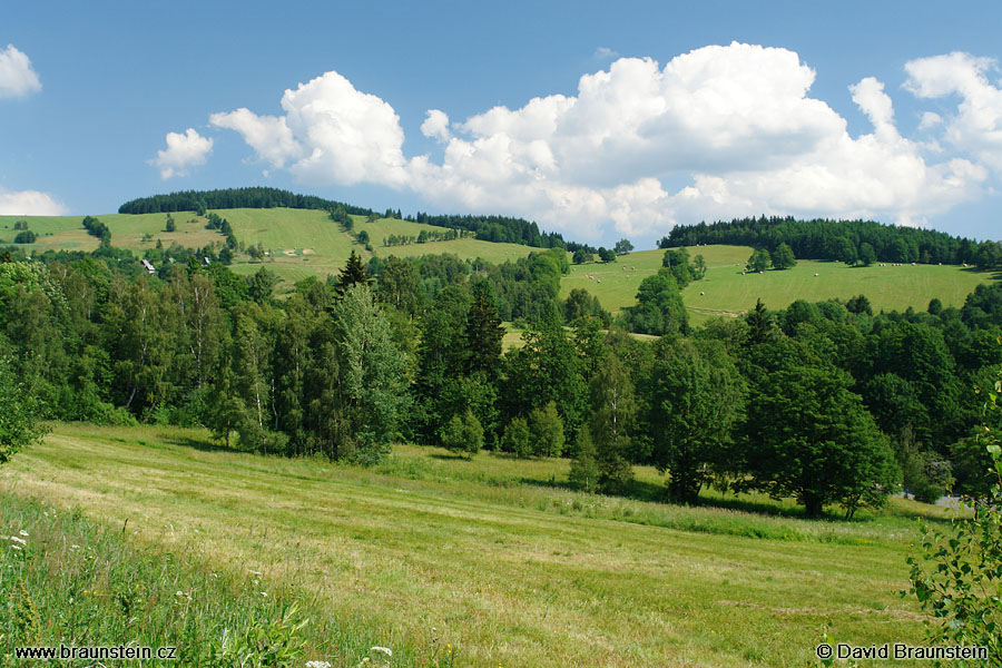 2006_0704_092139_je_krajina_u_hyncic_p_susinou