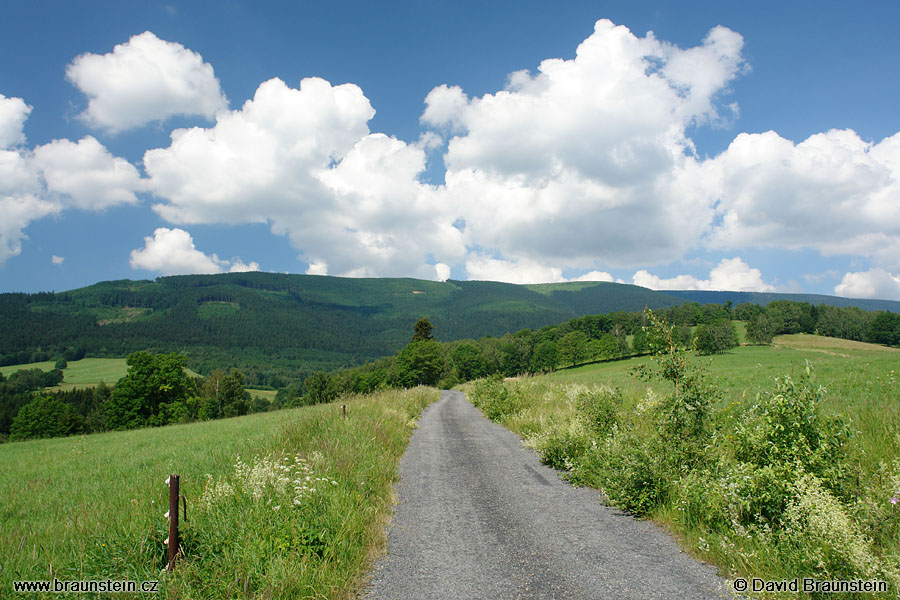 2006_0704_094514_je_krajina_u_hyncic_p_susinou_susina