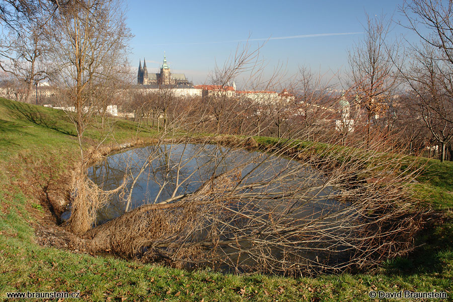 2007_0210_103430_ph_prazsky_hrad_z_petrina_jezirko