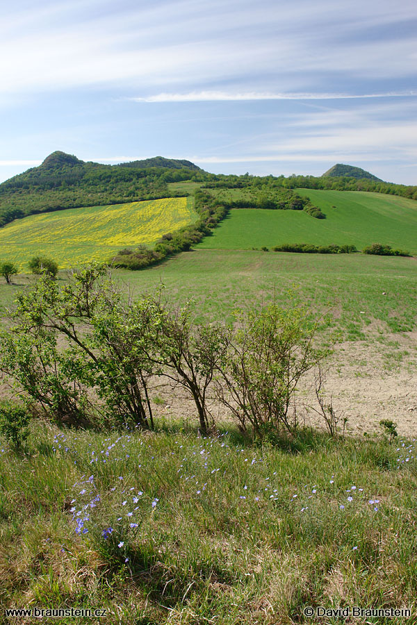 2007_0513_092419_st_len_brnik_srdov_oblik