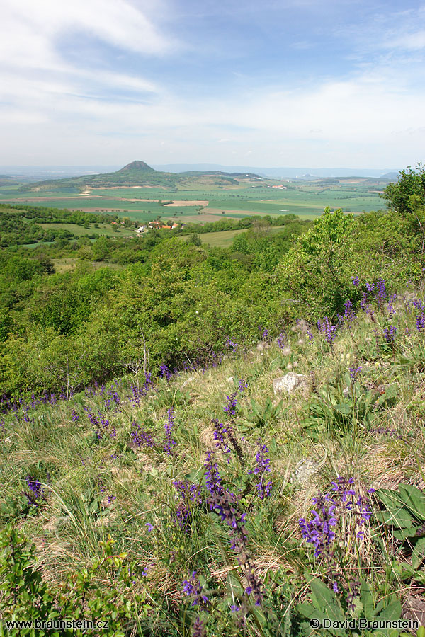 2007_0513_114144_st_salvej_hajni_mila