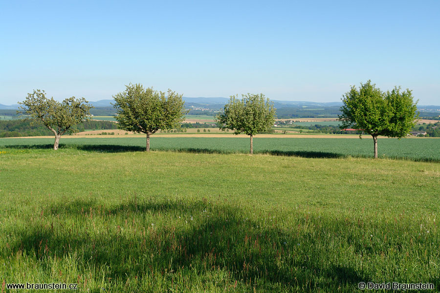 2007_0519_164305_sl_krajina_stromy