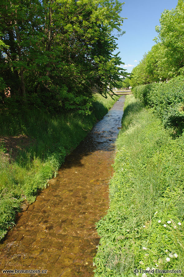 2007_0520_130451_sl_javorka_v_laznich_belohrad