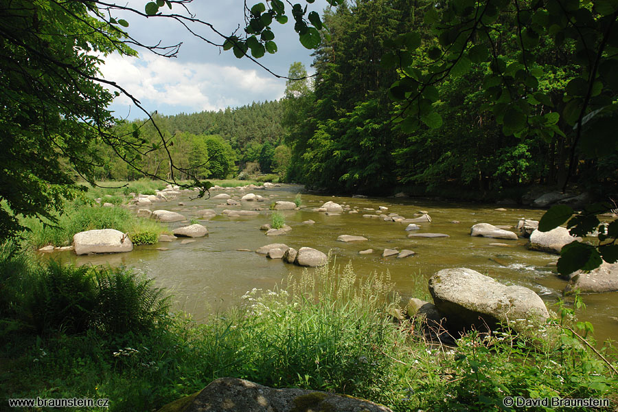 2007_0609_110405_st_sazava_ve_stvoridlech