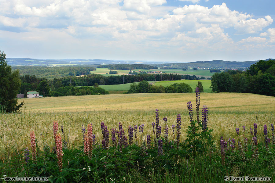 2007_0609_124802_st_vlci_boby_krajina