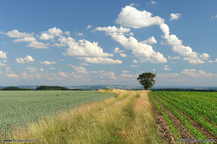 2007_0616_162301_sl_krajina_obloha