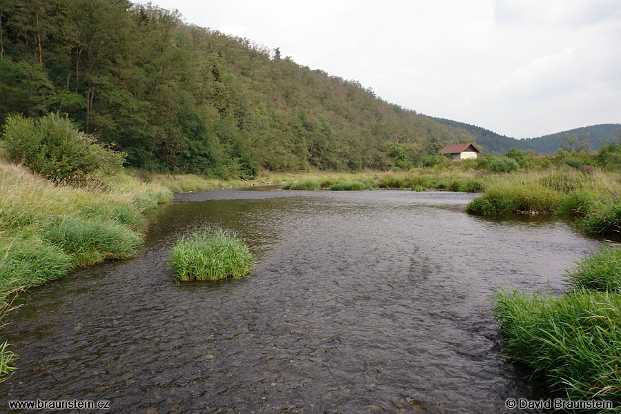 2007_0803_092050_be_berounka_pod_zikovskym_mlynem_108_65