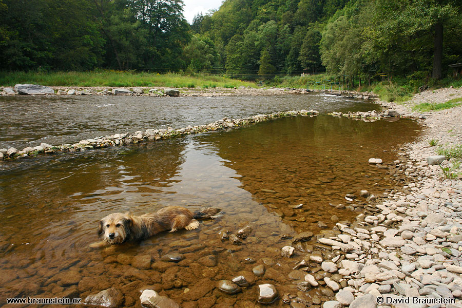 2007_0818_130714_ji_dasenka_v_jizere_100_27