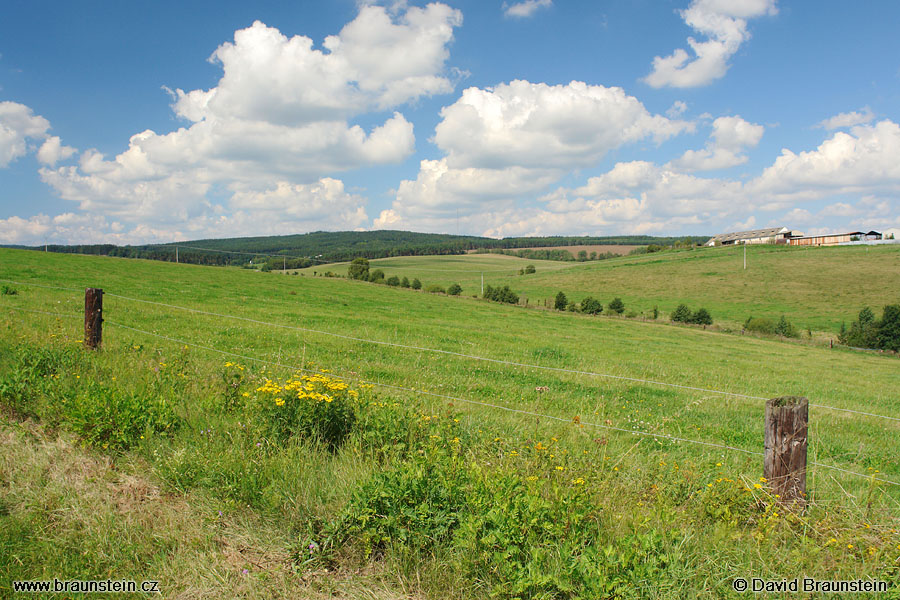 2007_0826_104347_zc_krajina_u_nectin