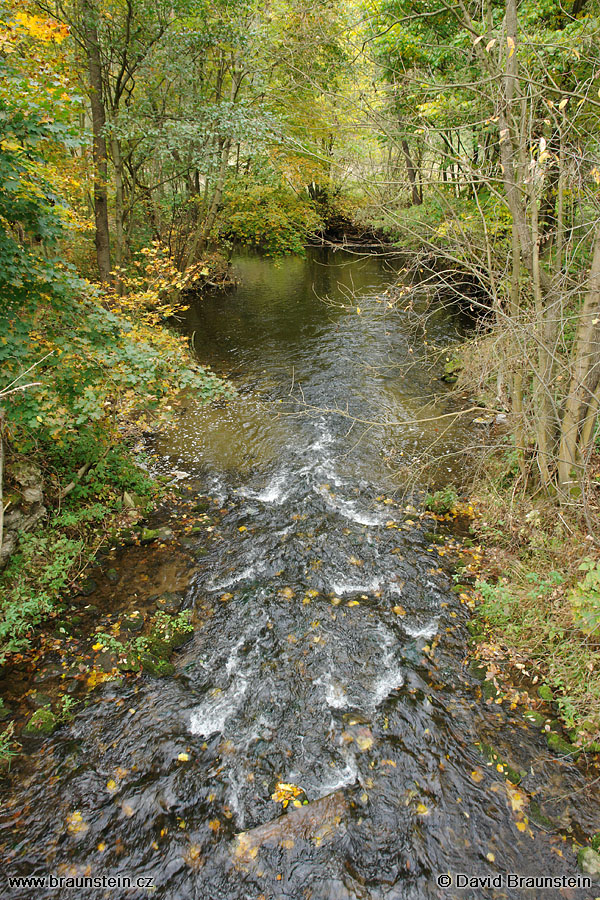 2007_1009_102247_se_mohelka_u_libice