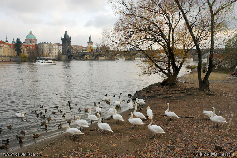 2007_1118_145344_ph_labute_vltava