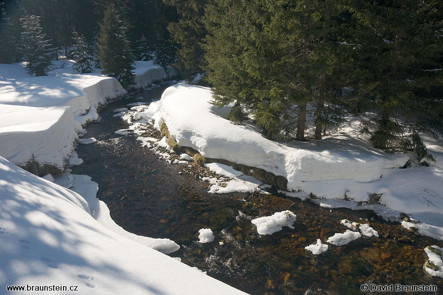 2008_0213_140300_su_modravsky_potok_5_7