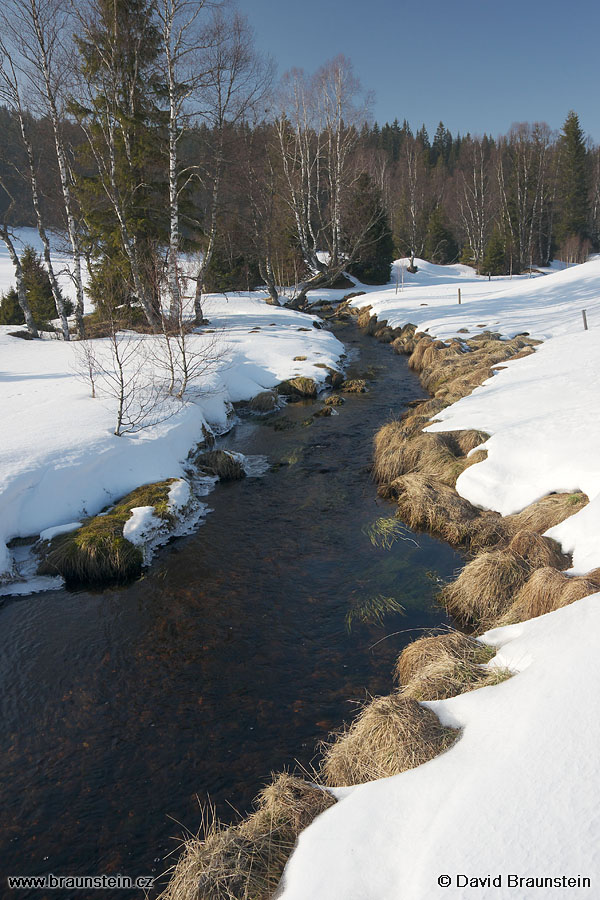 2008_0214_143651_su_kvildsky_potok_0_82