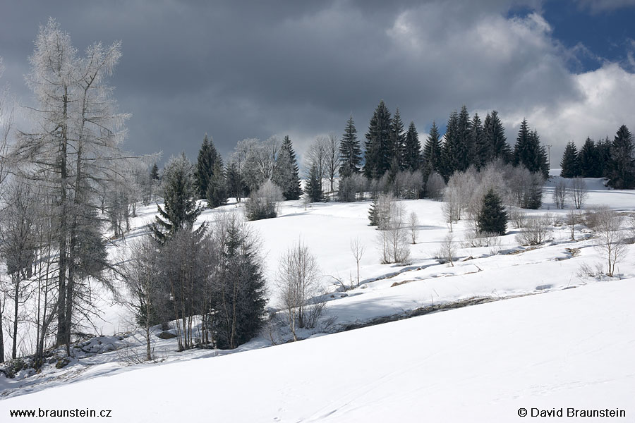 2008_0215_114048_su_zimni_krajina