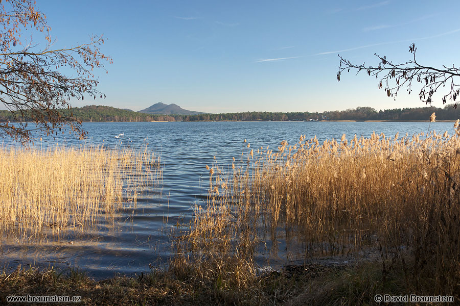 2008_0224_151417_be_machovo_jezero_rakos